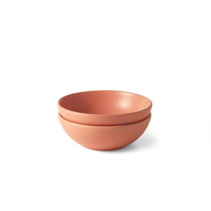 Flamingo Pink Daily Bowl - Set of 2