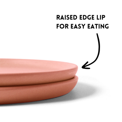 Flamingo Pink Dinner Plate - Set of 4